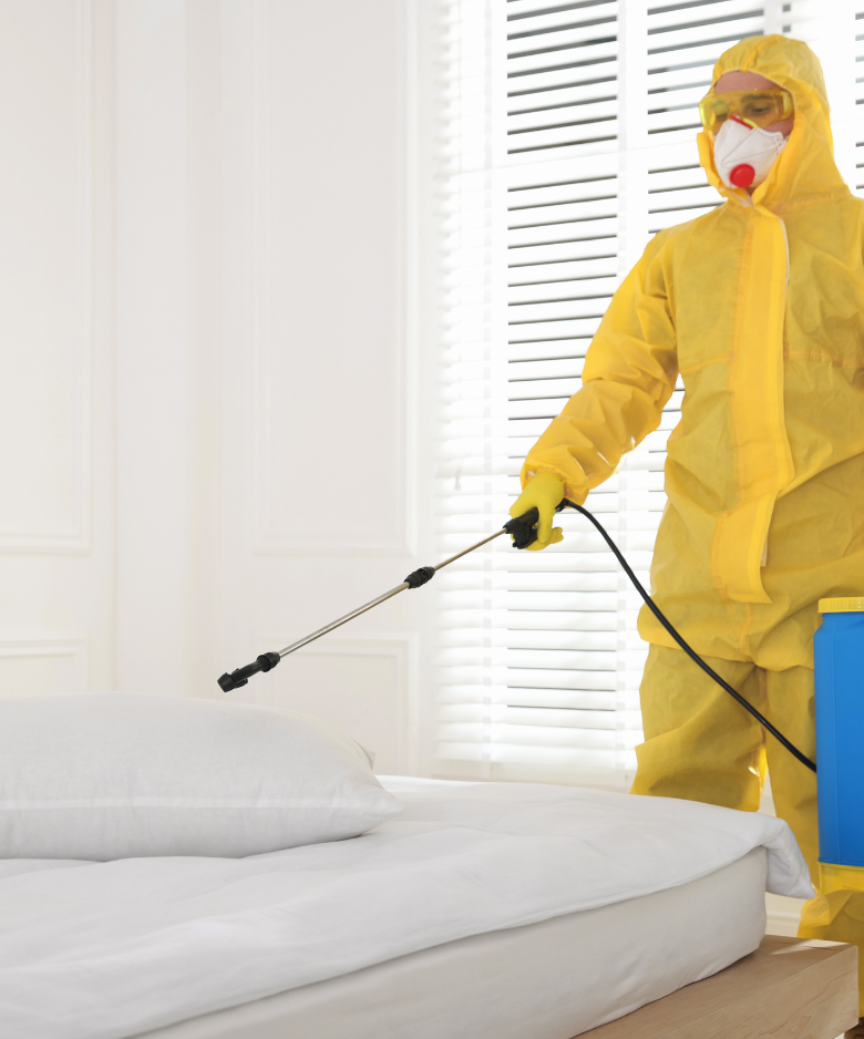 Professional Pest Control Team in Tungkillo
